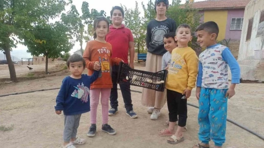 Cevizi top yapıp plastik meyve kasasında langırt oynadılar
