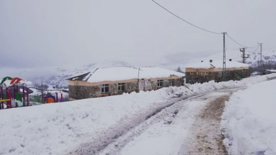 Çoban kar altında türkü söyledi, koyunlar pürdikkat dinledi
