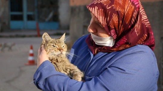 35 Kediye Anne Şefkatiyle Bakıyor
