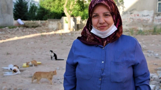 35 Kediye Anne Şefkatiyle Bakıyor