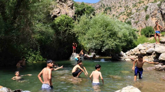 Dağın zirvesinde yüzen çocuklar, profesyonellere taş çıkarıyor