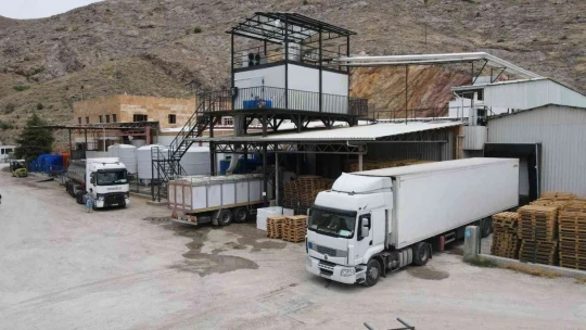 Elazığ balık ihracatından 29 milyon dolar gelir elde etti.