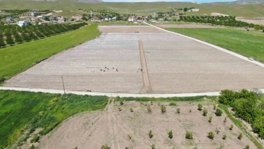 Deprem tarımı da vurdu, mevsimlik işçi bulunamıyor
