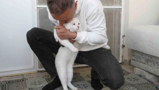Depremde enkazdan kurtarılan kedi, mikroçip sayesinde sahibine teslim edildi