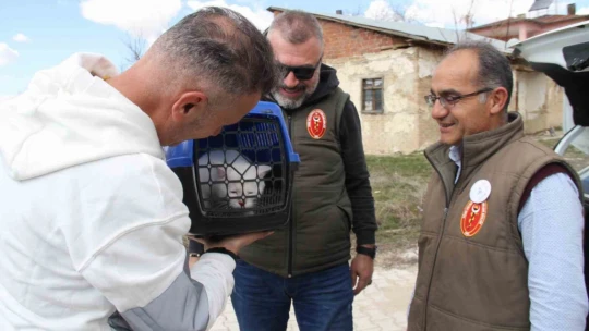 Depremde enkazdan kurtarılan kedi, mikroçip sayesinde sahibine teslim edildi