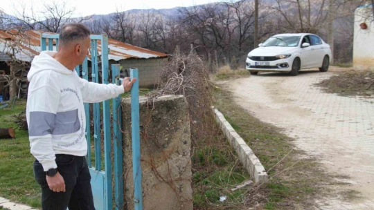 Depremde enkazdan kurtarılan kedi, mikroçip sayesinde sahibine teslim edildi