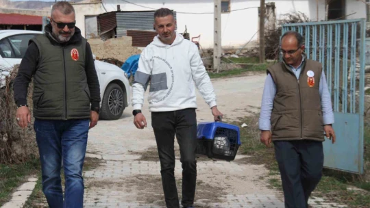 Depremde enkazdan kurtarılan kedi, mikroçip sayesinde sahibine teslim edildi