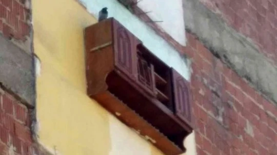 Depremde yıkılan binanın yanındaki apartmanda asılı kalan dolap kuşlara yuva oldu