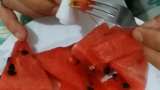 Dev çekirgeye karpuz yedirdi