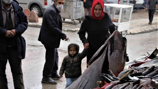 Dev orkinos görenleri hayretler içinde bıraktı