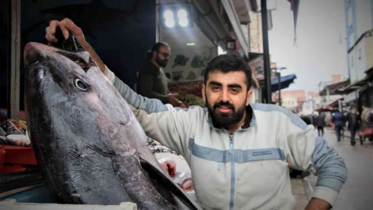 Dev orkinos görenleri hayretler içinde bıraktı