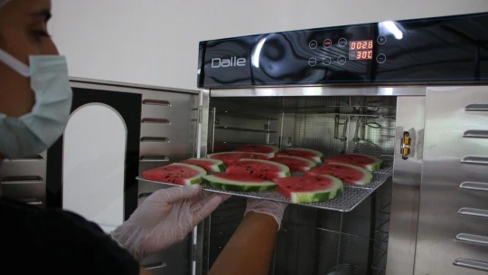 Devletten destek aldı, karpuzdan cips yapıp dünyaya pazarlamaya başladı