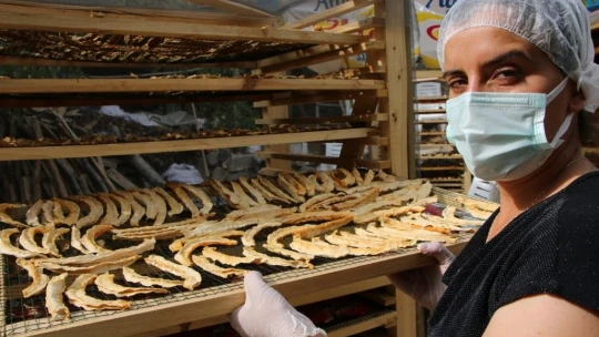 Devletten destek aldı, karpuzdan cips yapıp dünyaya pazarlamaya başladı