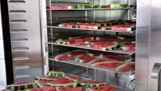 Devletten destek aldı, karpuzdan cips yapıp dünyaya pazarlamaya başladı