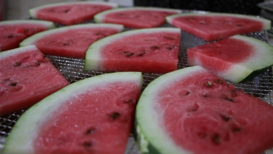 Devletten destek aldı, karpuzdan cips yapıp dünyaya pazarlamaya başladı