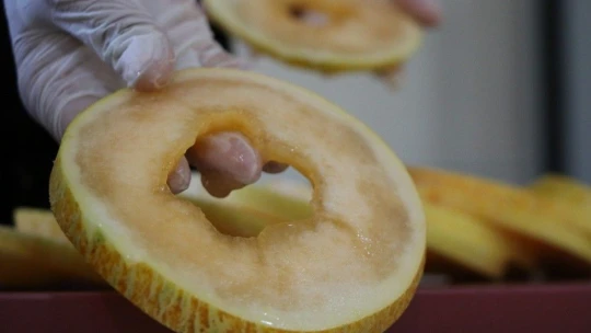 Devletten destek aldı, karpuzdan cips yapıp dünyaya pazarlamaya başladı
