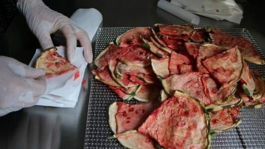 Devletten destek aldı, karpuzdan cips yapıp dünyaya pazarlamaya başladı