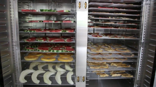 Devletten destek aldı, karpuzdan cips yapıp dünyaya pazarlamaya başladı