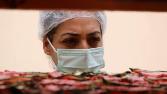 Devletten destek aldı, karpuzdan cips yapıp dünyaya pazarlamaya başladı