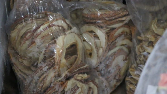 Devletten destek aldı, karpuzdan cips yapıp dünyaya pazarlamaya başladı
