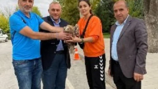 Doğa yürüyüşü sırasında bitkin düşen akbaba buldular