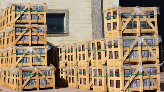 Dünyada sadece Elazığ'da çıkıyor, 60 ülkeye ihraç ediliyor