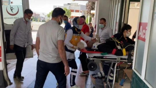 Dut ağacından düşen yaşlı adam hayatını kaybetti