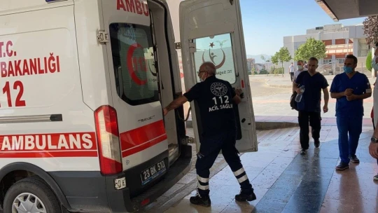 Dut ağacından düşen yaşlı adam hayatını kaybetti