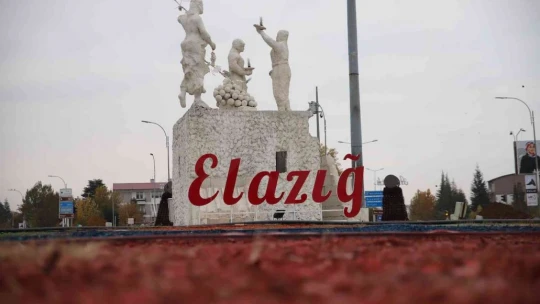 Elazığ 3 günde 38 kez sallandı