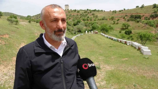 Elazığ Arı Yetiştiricileri Birliği Başkanı Canbay: 'Ekolojik dengede en önemli unsur arıdır'