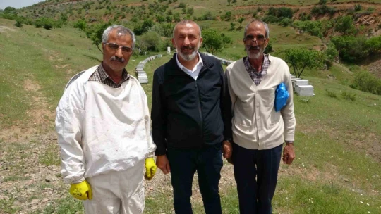 Elazığ Arı Yetiştiricileri Birliği Başkanı Canbay: 'Ekolojik dengede en önemli unsur arıdır'