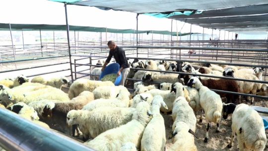 Elazığ Belediyesi Bayram Hazırlıklarını Tamamladı