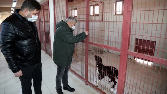 Elazığ Belediyesi Hayvan Bakım Evi ziyarete açılıyor