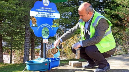 Elazığ Belediyesi, Ramazan ayı öncesi sokak hayvanlarını unutmadı