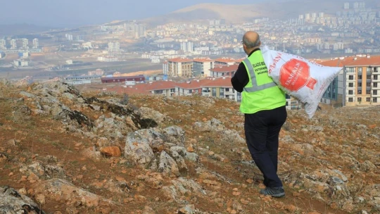 Elazığ Belediyesi, sokak ve yaban hayvanları için yem bıraktı