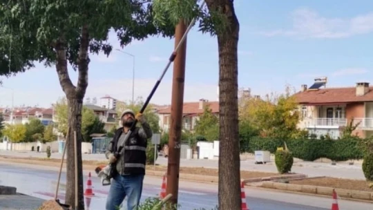 Elazığ Belediyesinden ağaç budama çalışması