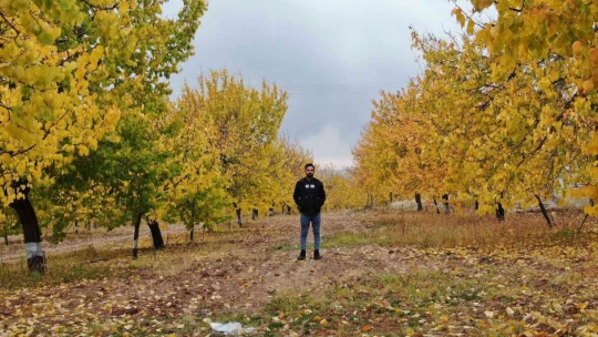 Elazığ'da 'altın yaprakların' sonbahar güzelliği