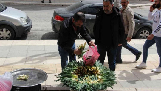 'Çiriş' ve 'Kenger' otu, tezgahlardaki yerini aldı