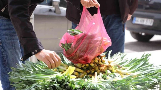 'Çiriş' ve 'Kenger' otu, tezgahlardaki yerini aldı