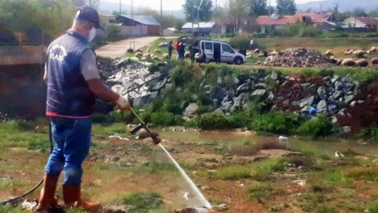 Elazığ'da ilaçlama çalışmaları bayramda da sürüyor