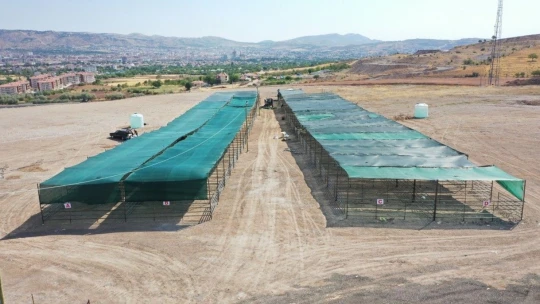 Kurban Satış ve Kesim Alanları Hazır