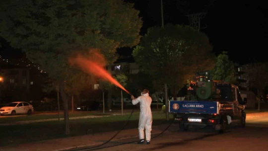 Elazığ'da larvayla mücadele çalışmaları sürüyor
