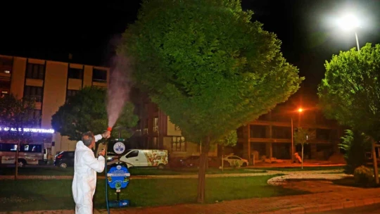 Elazığ'da larvayla mücadele çalışmaları sürüyor