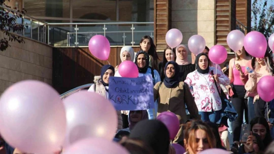Elazığ'da 'Meme Kanseri Farkındalık' yürüyüşü