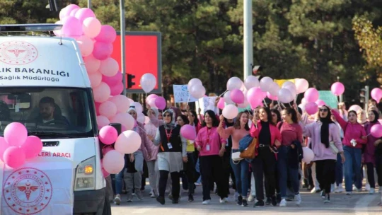 Elazığ'da 'Meme Kanseri Farkındalık' yürüyüşü