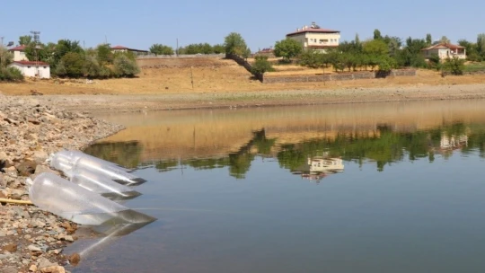 Elazığ'da 100 bin bin yavru sazan balığı gölete bırakıldı