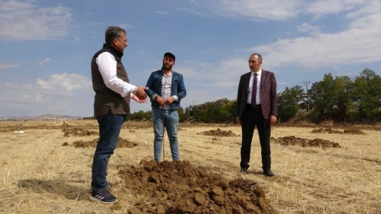 Elazığ'da 100 hektarlık alanda 46 bin adet fidan dikilecek