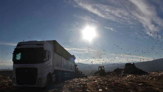 Elazığ'da 130 bin ton çöp, 11 bin haneye elektrik olarak geri döndü
