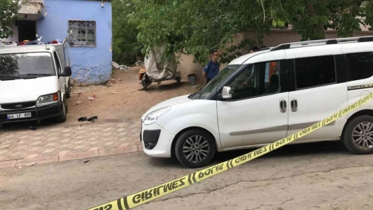 Elazığ'da 16 yaşındaki çocuk, akranını silahla başından vurdu