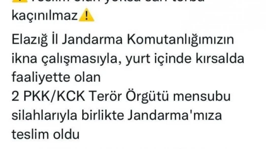 Elazığ'da 2 terörist silahlarıyla birlikte teslim oldu